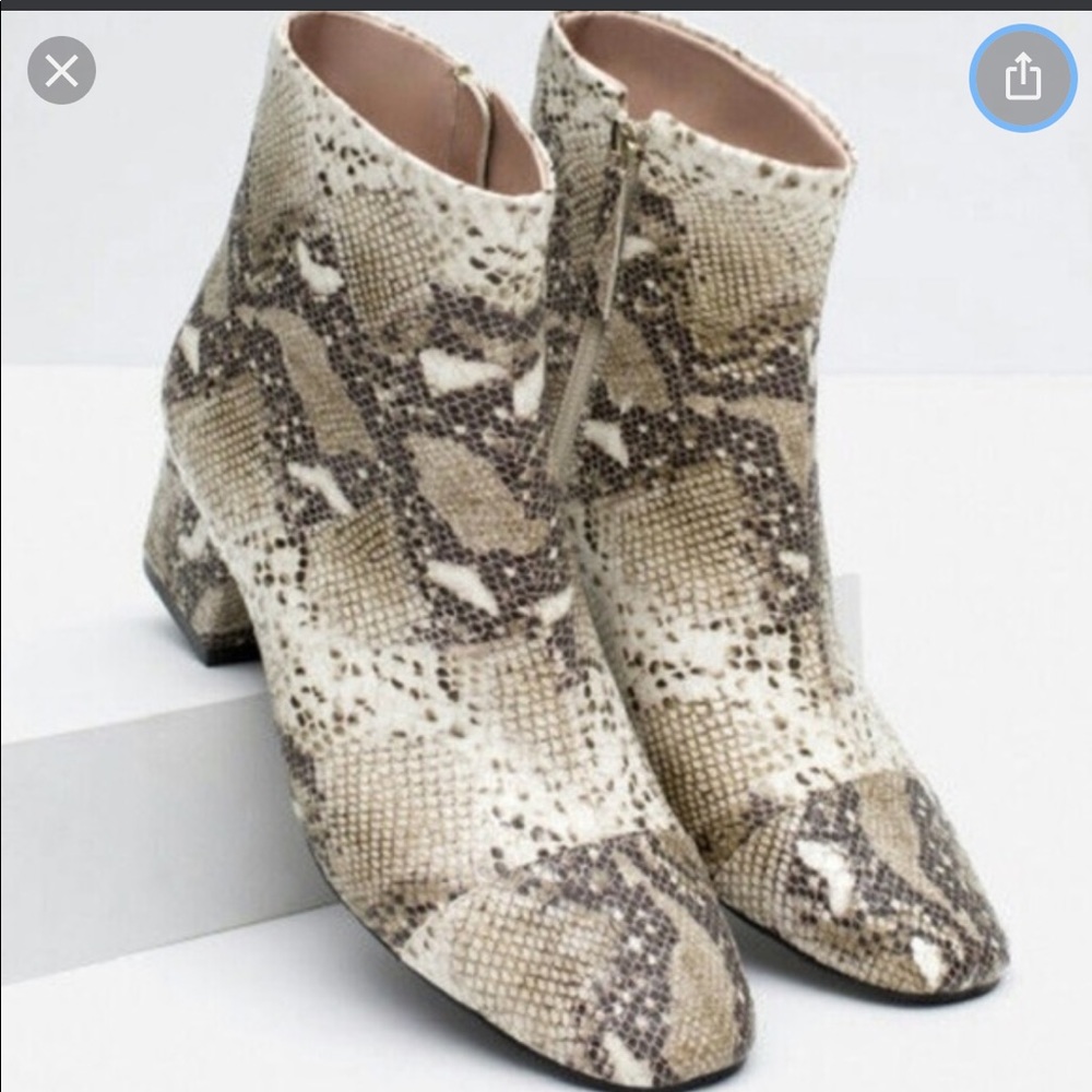 ZARA Snakeskin Ankleboots